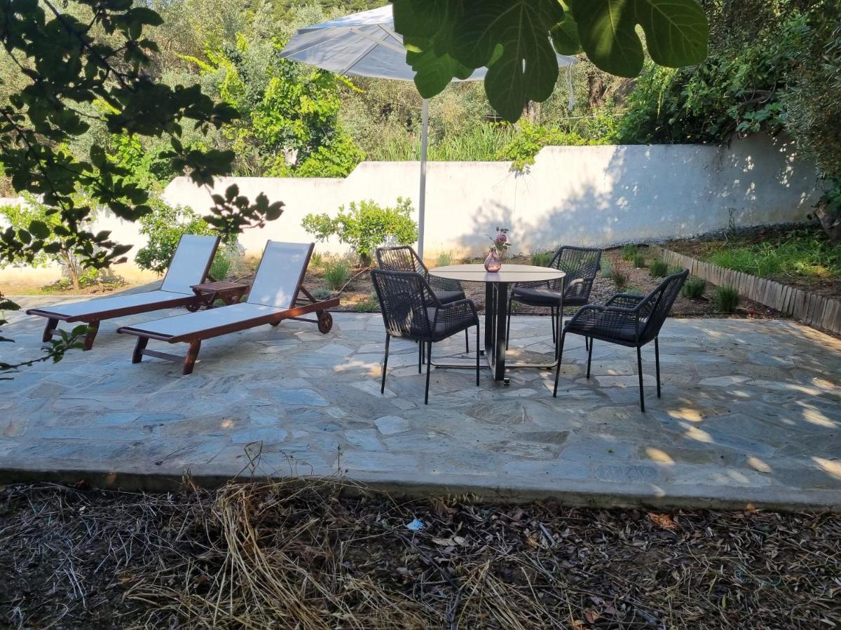 Villa Tellina Σκιάθος Πόλη Εξωτερικό φωτογραφία
