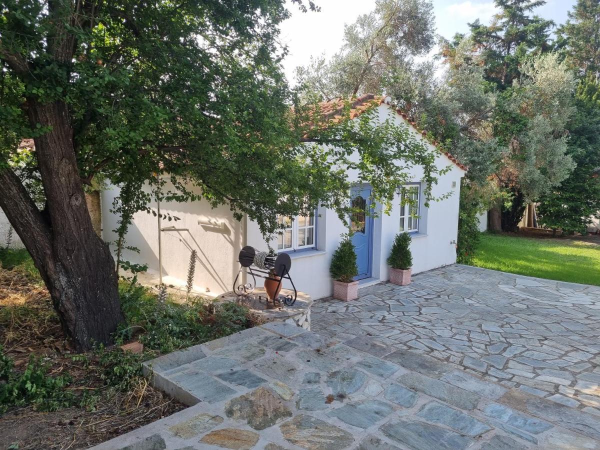Villa Tellina Σκιάθος Πόλη Εξωτερικό φωτογραφία